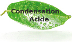 Condensation Acide de ma chaudiere