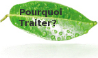 Pourquoi Traiter?